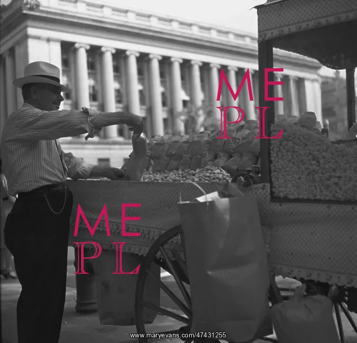 : Peanut vendor outside the White House. Washington, D.C : Peanut vendor outside the White House. Washington, D.C