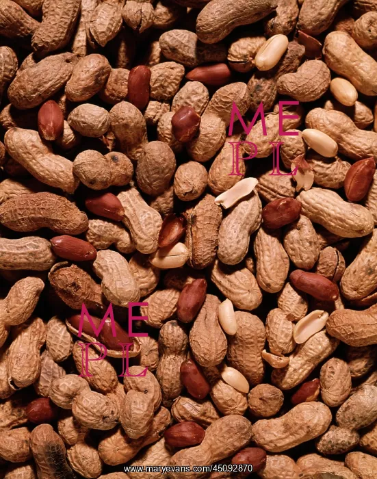 : Whole Peanuts in Shells Overall Pattern : Whole Peanuts in Shells Overall Pattern