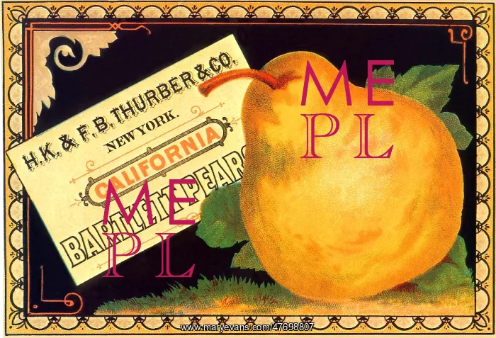  : Pear Advertisement