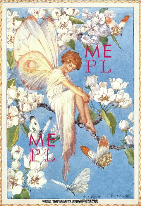 : Pear Blossom Fairy : Pear Blossom Fairy