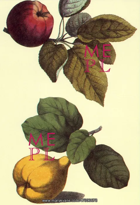  : Pear and Peach