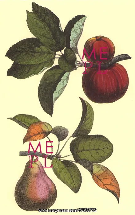  : Pear and Peach Branches