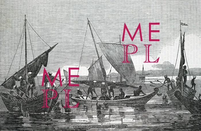  : Pearl fishery, Ceylon