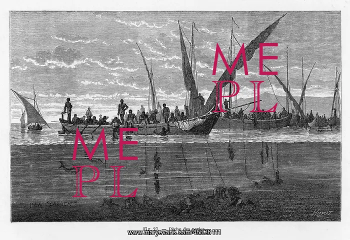 : Pearl Fishing - 1870 : Pearl Fishing - 1870