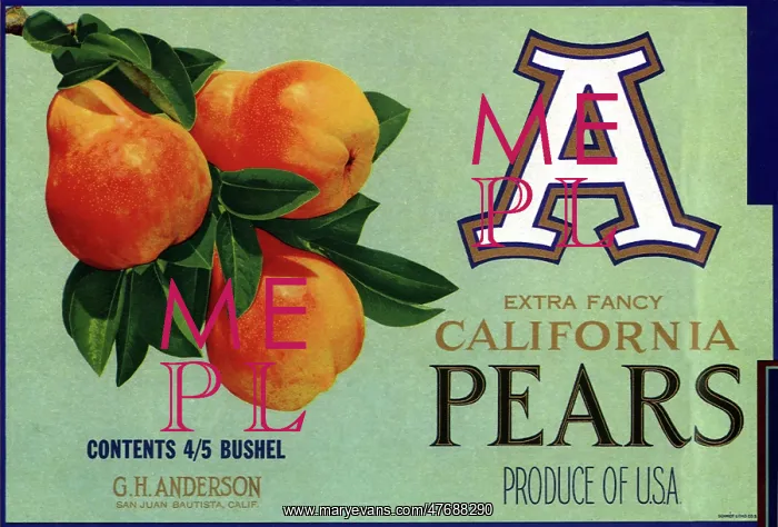  : Three Pears