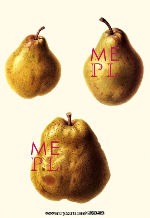 : Three Pears : Three Pears