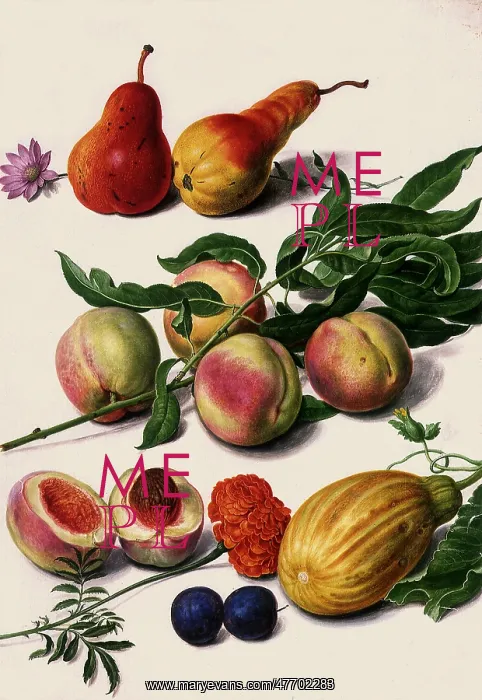  : Pears, Peaches, Plums