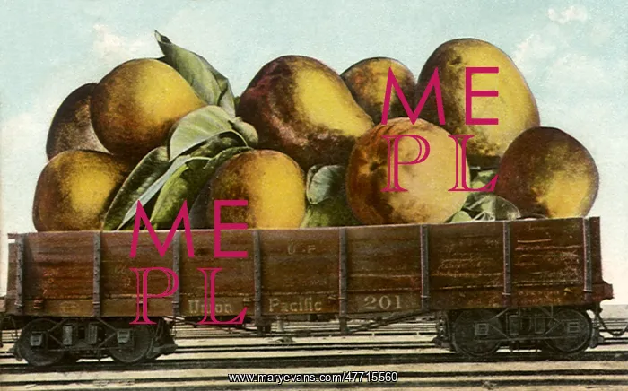  : Pears in Railroad Car