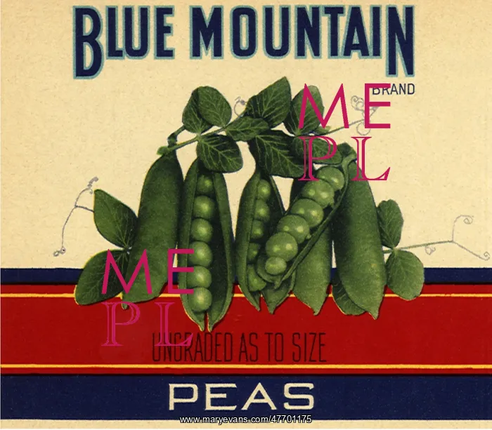  : Peas