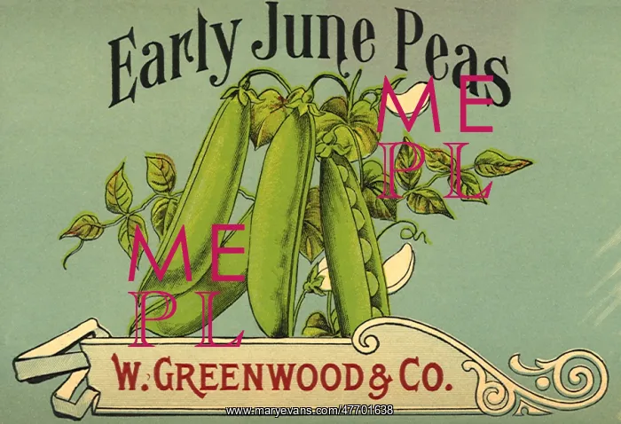  : Peas in Pods Label