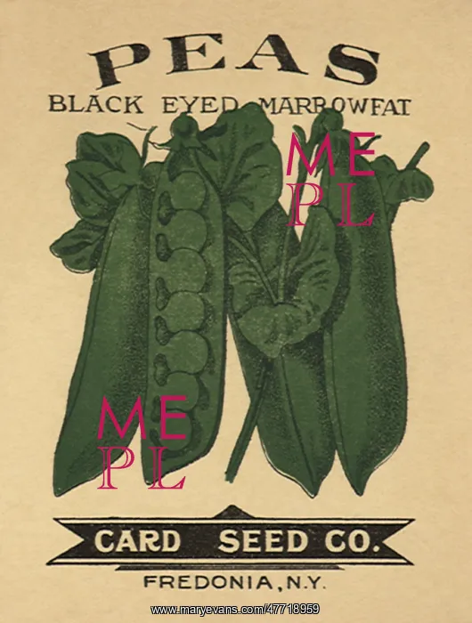 : Peas Seed Packet