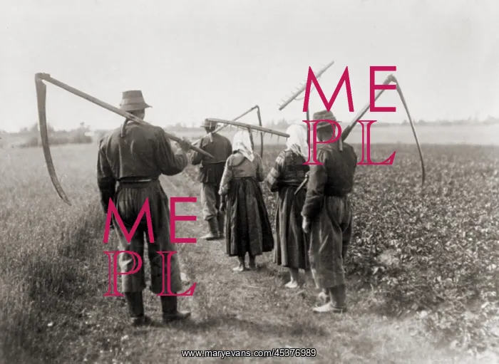: Five peasant farmers on their way to the fields : Five peasant farmers on their way to the fields