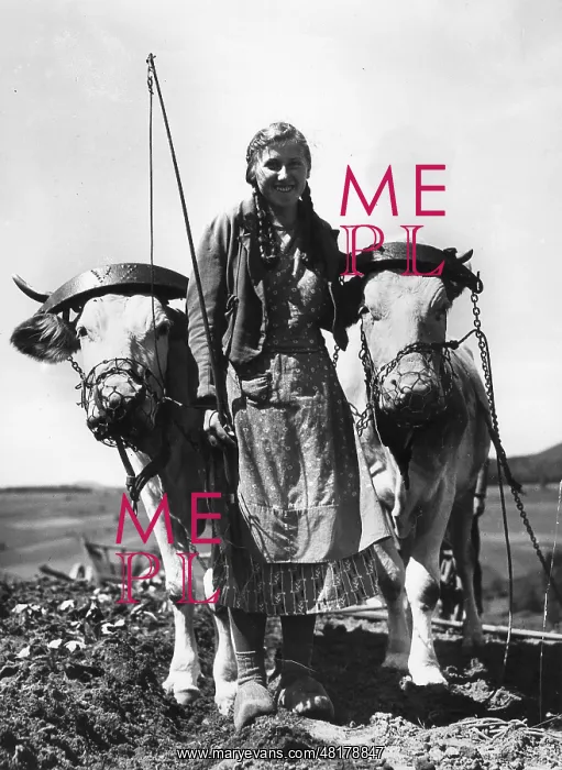 : Peasant girl with a team, 1935 : Peasant girl with a team, 1935