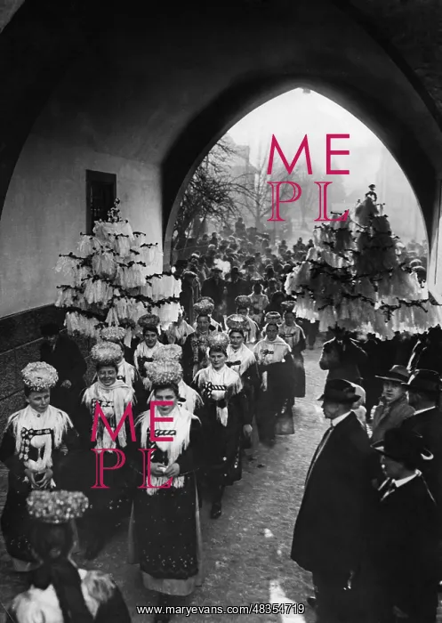 : Peasant wedding in the Black Forest, 1929 : Peasant wedding in the Black Forest, 1929