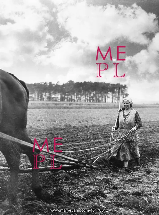 : Peasant woman plowing : Peasant woman plowing