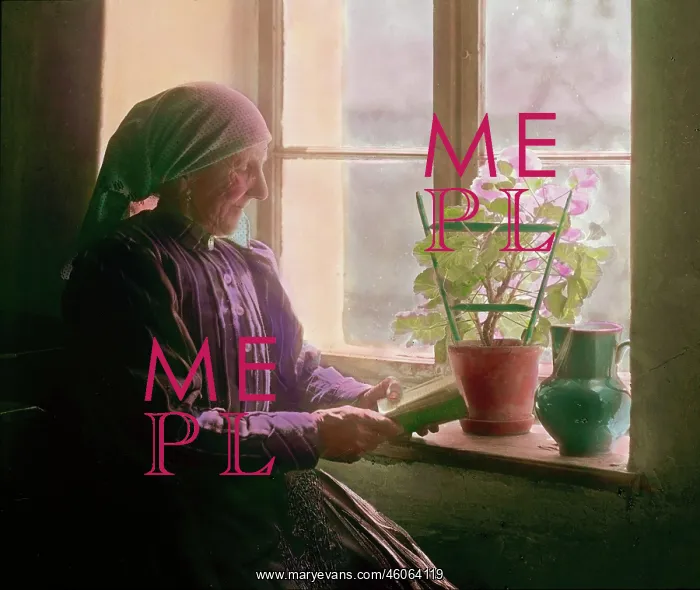 : A peasant woman is reading at the window : A peasant woman is reading at the window
