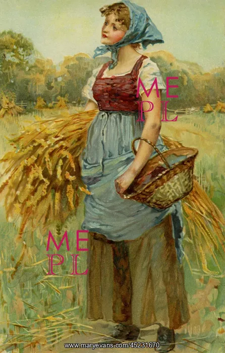  : Peasant worker gathering corn