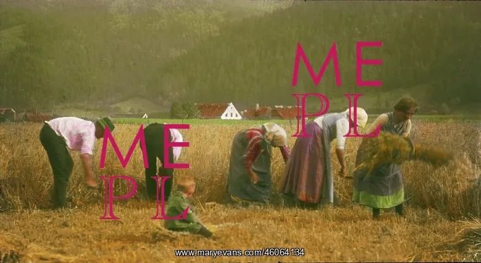 : Peasants are binding sheaves : Peasants are binding sheaves