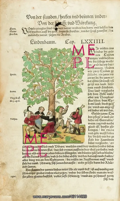 : Peasants dancing round linden tree (full page) : Peasants dancing round linden tree (full page)