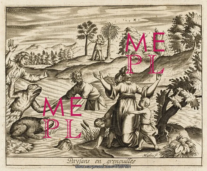 : Peasants into Frogs : Peasants into Frogs