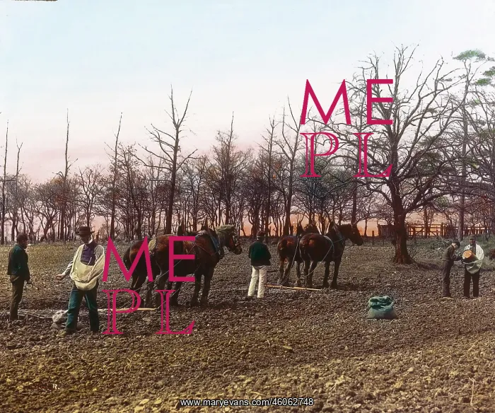 : Peasants are harrowing : Peasants are harrowing