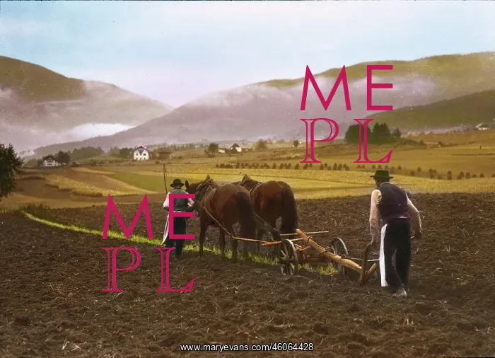 : Peasants are ploughing : Peasants are ploughing