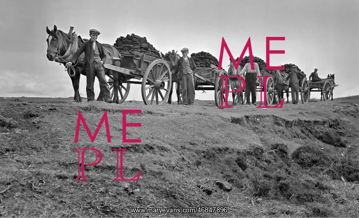 : Peat carts, Benbecula, Outer Hebrides, Scotland : Peat carts, Benbecula, Outer Hebrides, Scotland