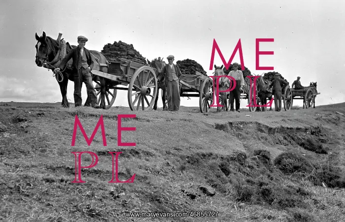 : Peat carts, Benbecula, Outer Hebrides, Scotland : Peat carts, Benbecula, Outer Hebrides, Scotland