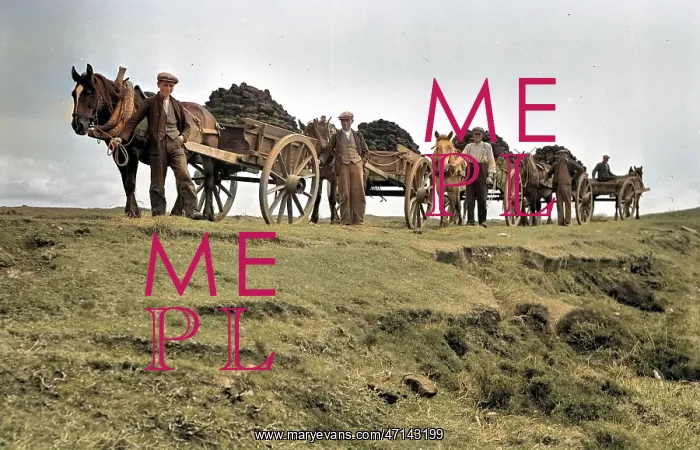 : Peat carts, Benbecula, Outer Hebrides, Scotland : Peat carts, Benbecula, Outer Hebrides, Scotland