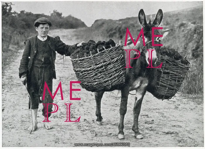 : Peat collecting in Ireland 1932 : Peat collecting in Ireland 1932