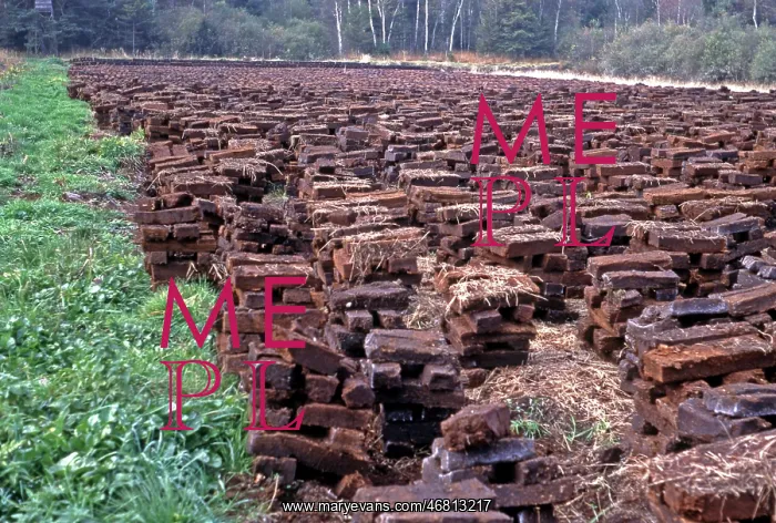 : Peat cutting in Ibmer bog : Peat cutting in Ibmer bog