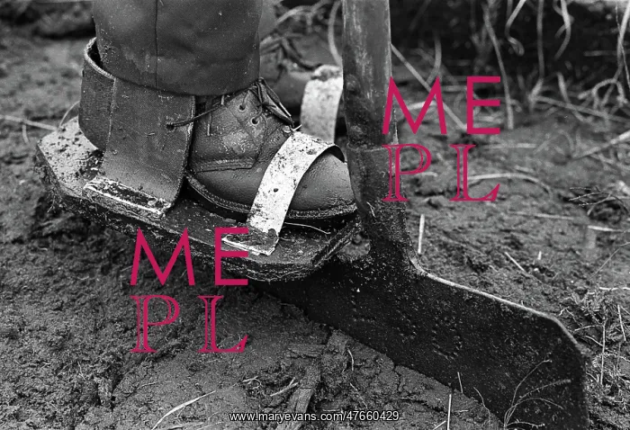 : Peat cutting shoe - 2 : Peat cutting shoe - 2