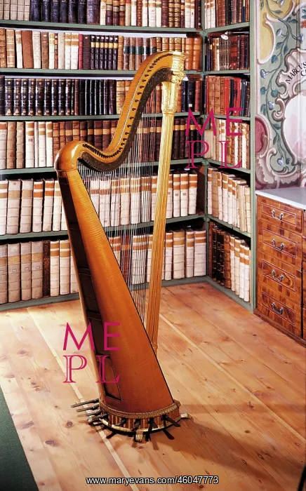  : Pedal harp