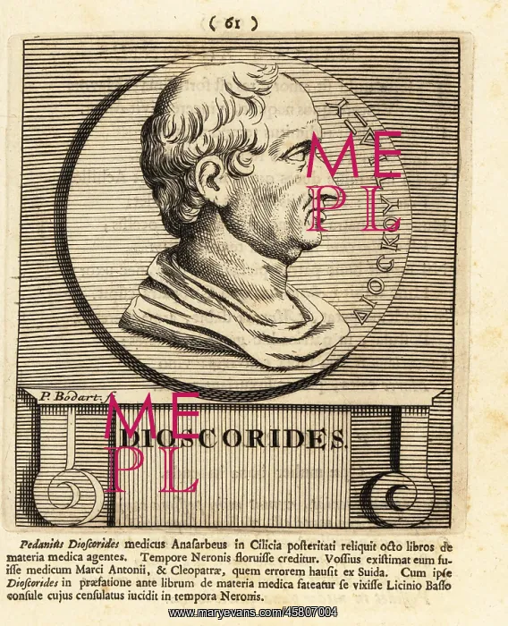 : Pedanius Dioscorides, Greek physician, pharmacologist : Pedanius Dioscorides, Greek physician, pharmacologist