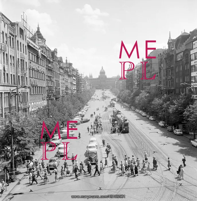 : Pedestrian crossing - crowd : Pedestrian crossing - crowd