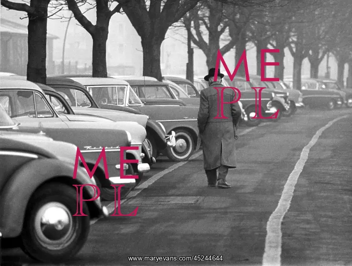 : Pedestrian in front of parked cars : Pedestrian in front of parked cars