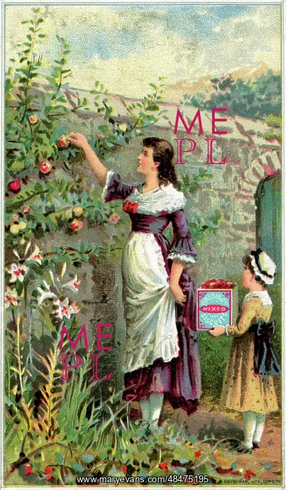  : Peek Frean Biscuits advertising trade card - Picking Apples