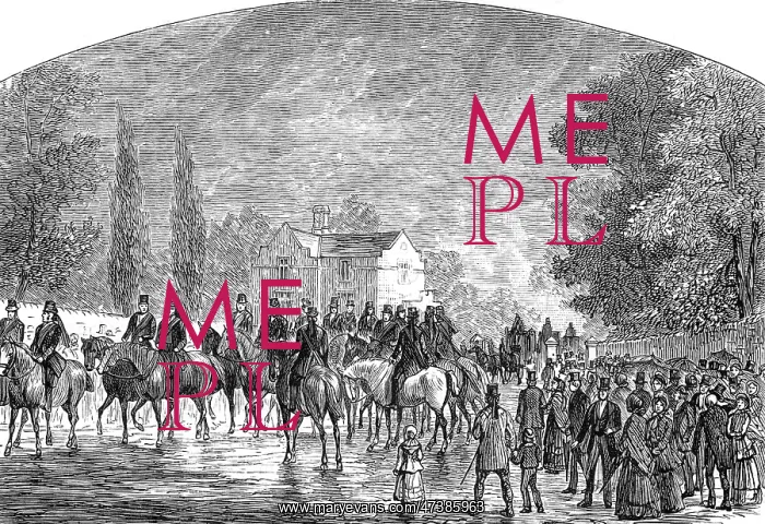 : PEEL'S FUNERAL : PEEL'S FUNERAL