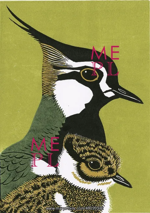 : Peewit and Son : Peewit and Son