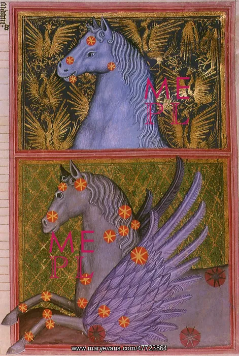 : Pegasus and Equuleus : Pegasus and Equuleus