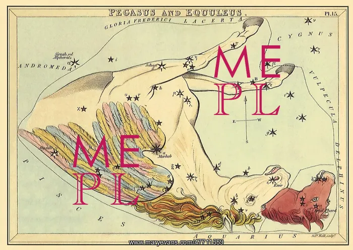 : Pegasus and Horse : Pegasus and Horse