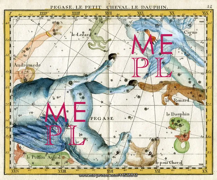  : Pegasus, Little Horse, Dolphin