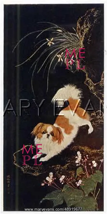  : PEKINGESE (COLLIER)