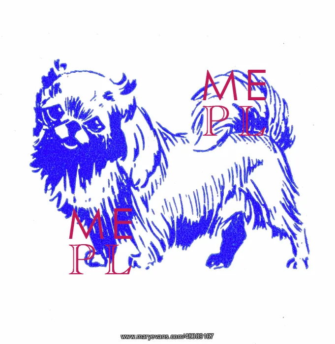  : Pekingese dog - 1950s printer's block
