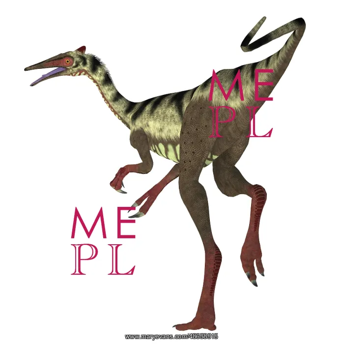 : Pelecanimimus dinosaur on white background : Pelecanimimus dinosaur on white background