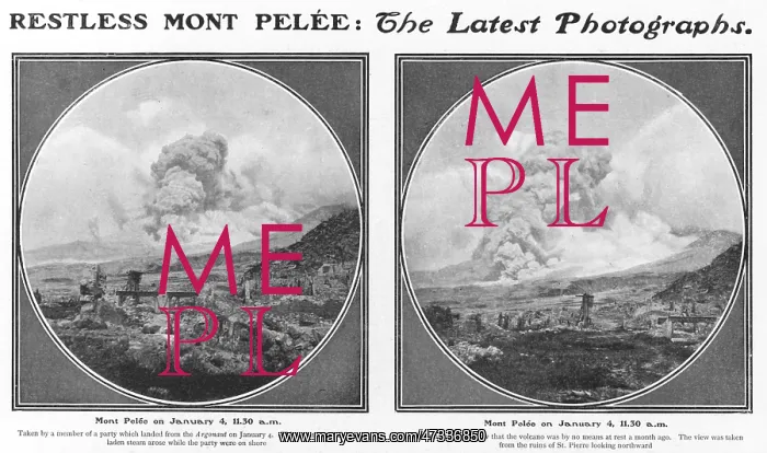 : PELEE 1903 - 2 : PELEE 1903 - 2