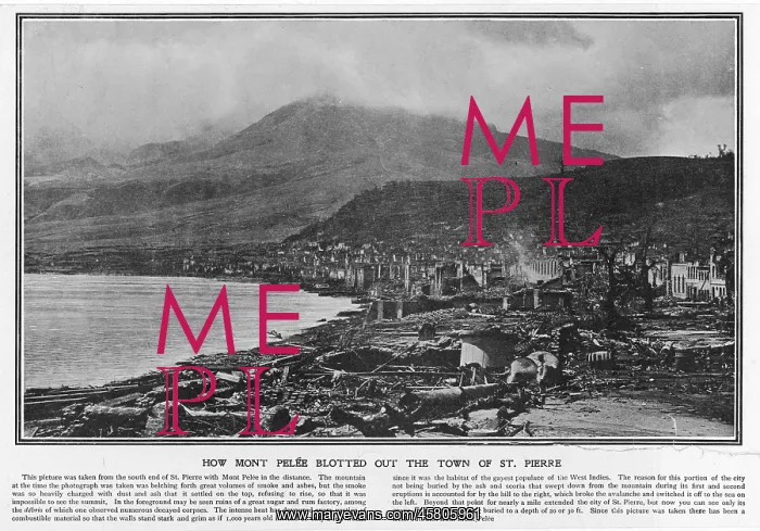 : PELEE 1903 - 3 : PELEE 1903 - 3