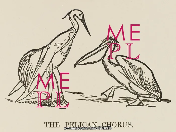 : The Pelican Chorus, Edward Lear : The Pelican Chorus, Edward Lear
