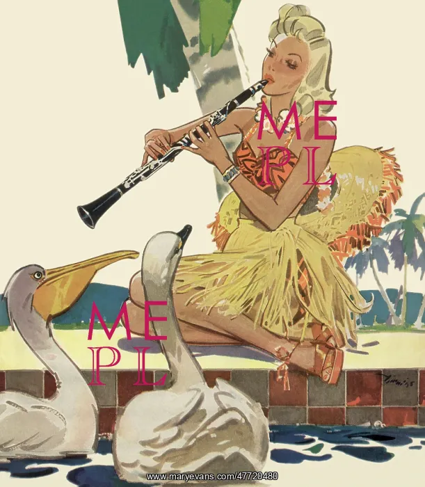 : Pelican and Swan Serenade : Pelican and Swan Serenade