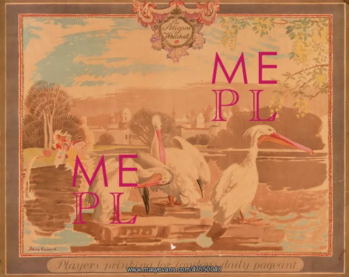 : The Pelicans of Whitehall : The Pelicans of Whitehall